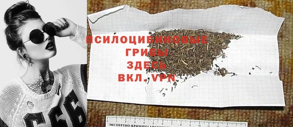 не бодяженный Ельня