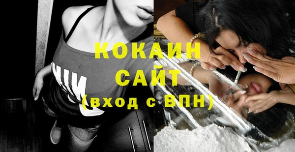 тгк Шали