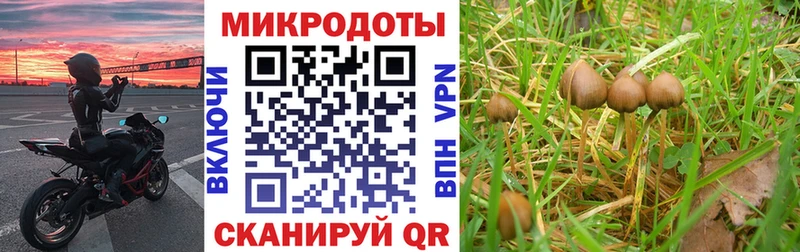 Псилоцибиновые грибы Magic Shrooms  цена   Западная Двина 